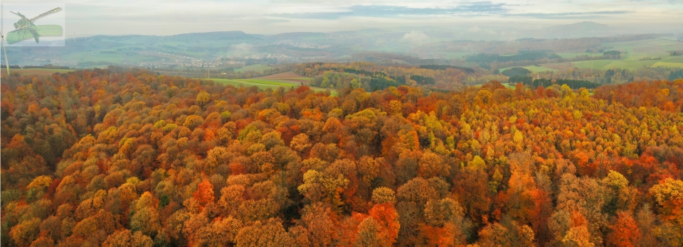 16Nov19-Eppelborn-Pan909